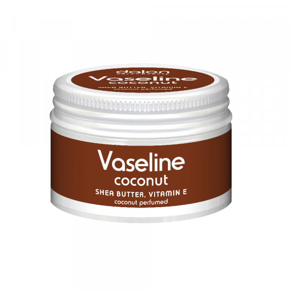 Dalon Vaseline With Vitamin E - Coconut